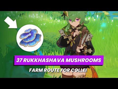 37 RUKKHASHAVA MUSHROOMS // Quick & Easy Farming Guide Route to level up Collei 🌱 Genshin Impact 3.0