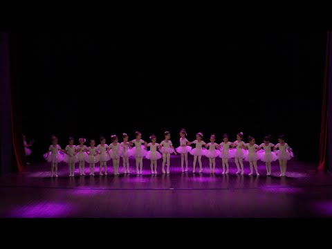 1. Classic Dance the first Performance of Denfest 15 (Choreography)