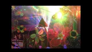 Look Into The Future (Magic Mushroom Band cover) By Stripeymoon