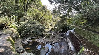 登峰水圳逐水遊