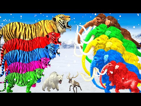 5 Woolly Mammoths Vs Tiger Animal Fight | Mammoth Elephant Save Polar Bear from Giant Tiger Attack
