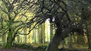 Spires That In The Sunset Rise / Java Pop