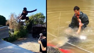 faze tari oameni de treaba