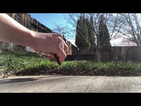 Quarantined Hairstylist: Day 5