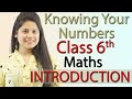 Introduction Knowing Our Numbers Chapter 1 Class 6th Maths