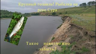 Места для рыбалки на реке сура