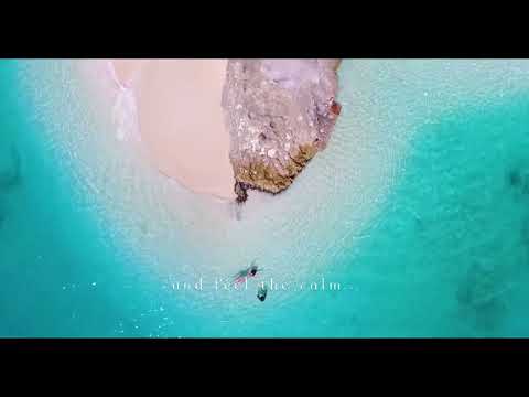 Ocean Waves White Noise  Sleep, Study, Insomnia Relief  Beach Sounds 10 Hour