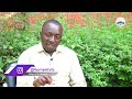 MWANAUME UKIONA DALILI HIZI UJUE KWAMBA HAUNA UWEZO WA KUMPA MWANAMKE MIMBA