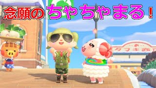 [あつ森]ちゃちゃまるがついに来た！
