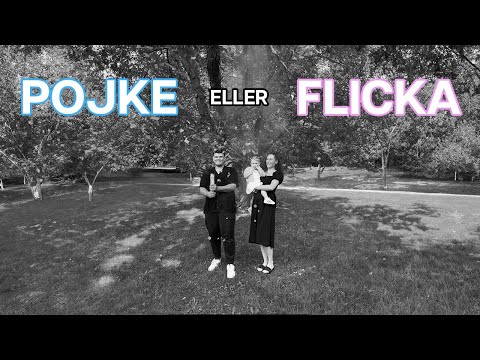 GENDER REVEAL | gravid vecka 37