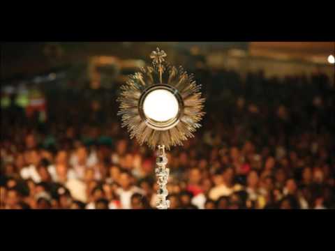 Colo de Deus e Cristo alegria - Eu e o Meu Amor