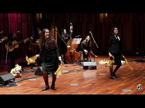 TFFLUP | VII Letras Sentidas | Vaca de Fogo - Levadas da Broca