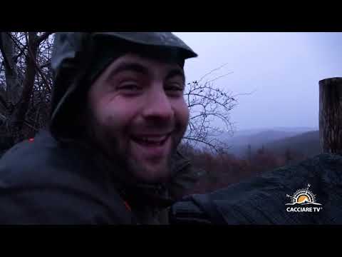 Caccia di Selezione al Daino Trailer - Il Palancone