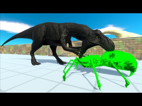 BLACK ALLOSAURUS DEATH RUN