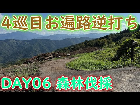 1,400年以上前の寺院が発見:研究者らは「稀で注目に値する証拠」を発見