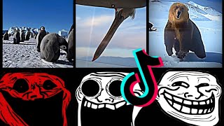 🥶 Coldest TrollFace Compilation 🥶 Troll Face Phonk Tiktoks 🥶 Coldest Moments Of All TIME #4