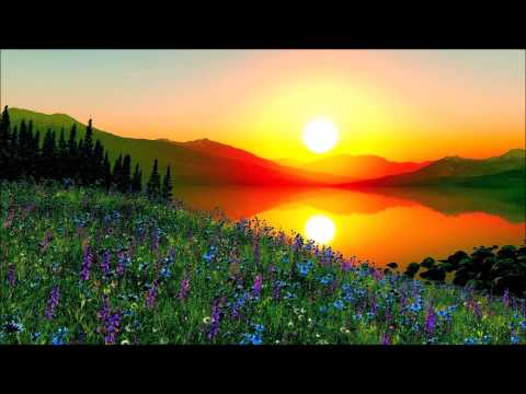 Slick-Sunrise (feat.Brandi Wells)
