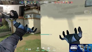 Zander Omen Haven RADIANT RANKED
