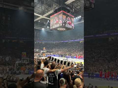 GROBARI MADNESS - Da volim CRNO BELE - PARTIZAN - crvena zvezda - 22.06.2023.