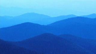 The Lonely Forest - Turn Off This Song and go outside