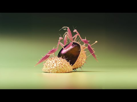 Florian Picasso - When I Saw U