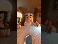 Round and round