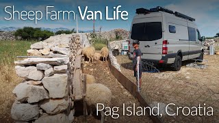 Sheep Farm Van Life on Pag Island, Croatia