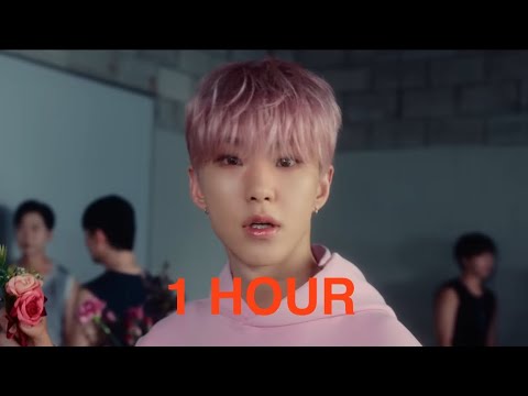 SEVENTEEN HOSHI's 'Baby, Honey' 1-Hour Loop Sparks Fan Excitement