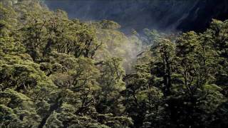 DarkShire - Rain Forest (Part 1)