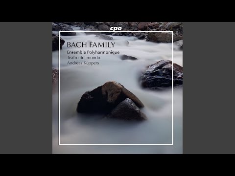 Herr, wenn ich nur dich habe