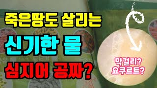 6가지 미생물을 공짜가 가져다 써요 유기농 텃밭농사 미생물 잘만 사용하면 죽어가는 작물, 땅을 살리는 미생물…