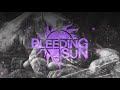 Bleeding Sun - Hopeless (Offical Lyric Video)