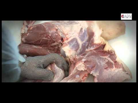 download lagu mp3 mp4 Adiv, download lagu Adiv gratis, unduh video klip Adiv