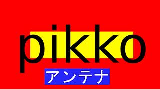 Minecraft国家鯖で国作り