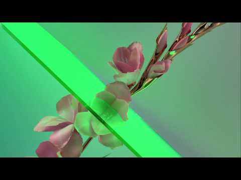 Video Never Be Like You (Martin Solveig Remix) de Flume