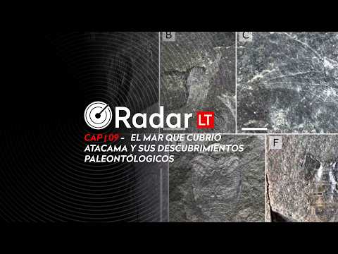 RADAR LT : El "Parque Jurásico" de Atacama