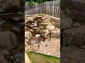 Escape the Hassle: Transform Your Backyard with a Pondless Waterfall