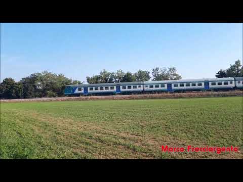 Transito nei pressi di San Floriano di Campagna (TV) R 11140