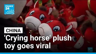 Download lagu China's accidental 'crying horse' plush toy goes viral • FRANCE 24 English mp3