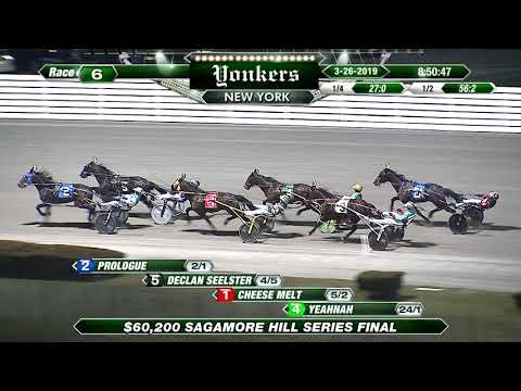 2019 Sagamore Hill Pacing Series Final