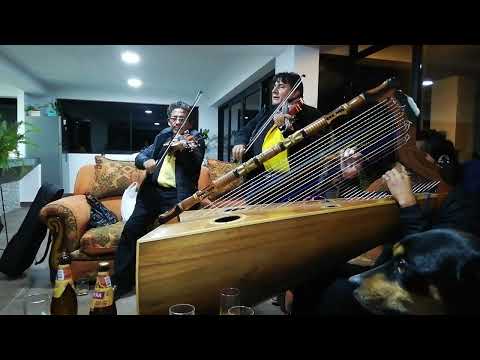 LOS BRILLANTES DE PARINACOCHAS FLOR DE FANGO. DANIEL ALTAMIRANO 991218704 EN CUSCO PERU