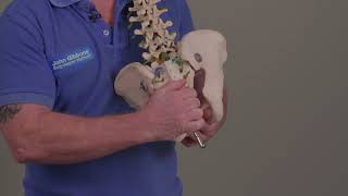How to treat a Posterior Rotation of the Sacroiliac Joint