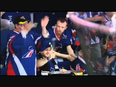 Cesta za titulem Češi na MS 2010 v Německu