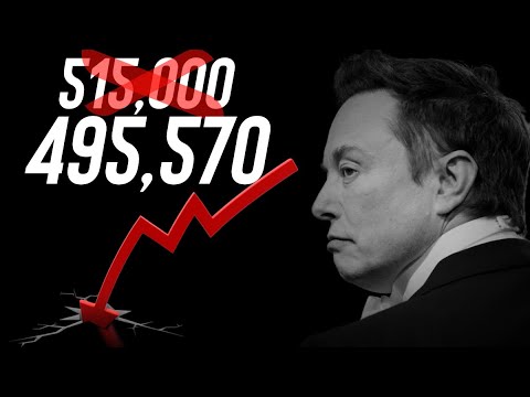 Tesla Reports 1st Ever Yearly Delivery Decline...
