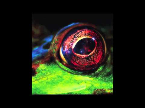 t q d - Day & Night [Night Mix]