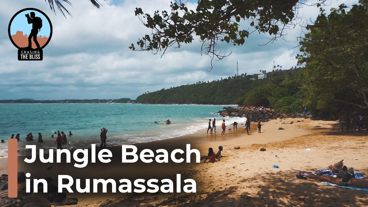 Experience a virtual tour of Jungle Beach.