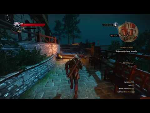 The Witcher 3 Wild Hunt - Broken Flowers: Find A Way Into Attre's Villa