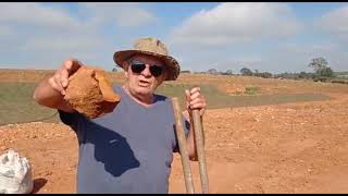 Veja como as plantas crescem depressa - PARTE 1