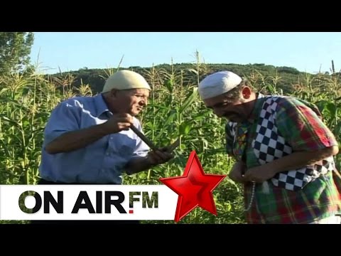 Cima, Dreni, Fiza, Kungji - Kush punon han