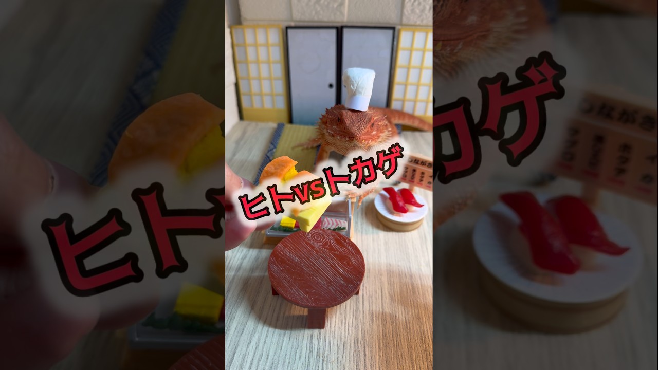 【ヒトvsトカゲ】邪魔されずに寿司を完成させろ